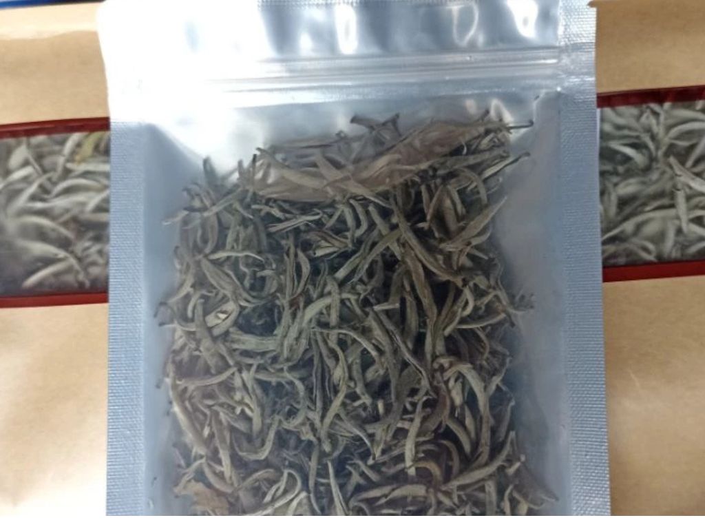 bẠch trÀ tuyẾt trÀ